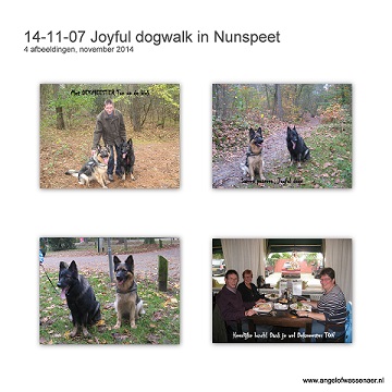 Joyful Dog walk in Nunspeet met Dekmeester Ton Boxman. Onze herders genieten en wij niet minder